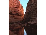 A water pool in the Wilderness of Zin.